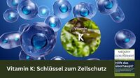 Vitamin K: Schlüssel zum Zellschutz