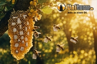 Zum Weltbienentag startet Uniturm.de die Hochladewochen