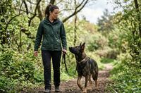 Die 7 größten Fehler im Hundetraining mit Problemhunden – und&hellip;