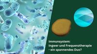 Immunsystem: Ingwer und Frequenztherapie – ein spannendes Duo?