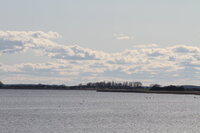 Urlaub mit Hund direkt auf dem Deich – der Blick&hellip;