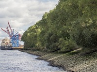 Interessenskonflikt im Hamburger Hafen eskaliert