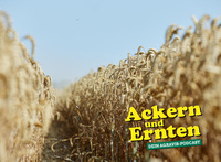 AGRAVIS-Podcast: Getreidemärkte im Check